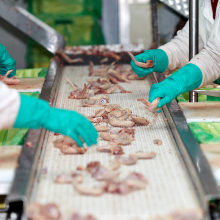 muncitori-macelarie-pui